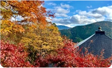 リトリート・体感事業